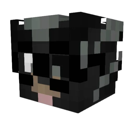 afuy Minecraft avatar head, 3D render