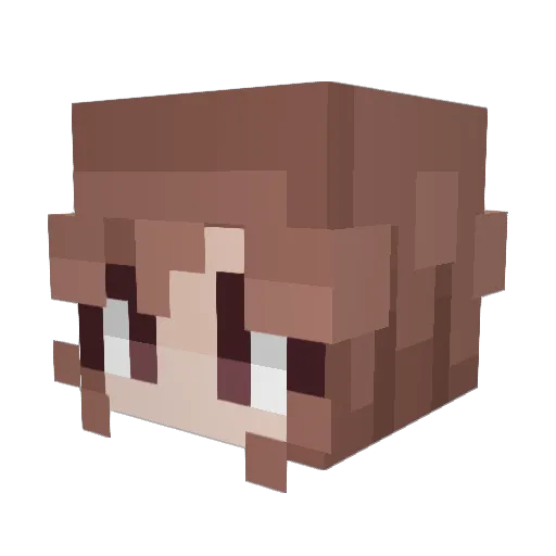 aga Minecraft avatar head, 3D render