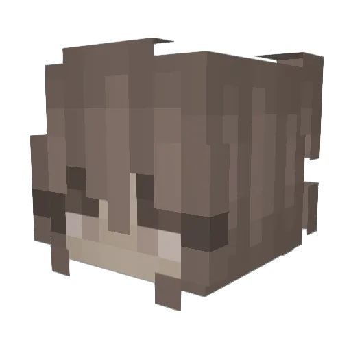agaeroa Minecraft avatar head, 3D render