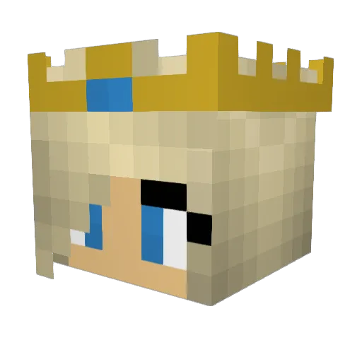 agam2505 Minecraft avatar head, 3D render