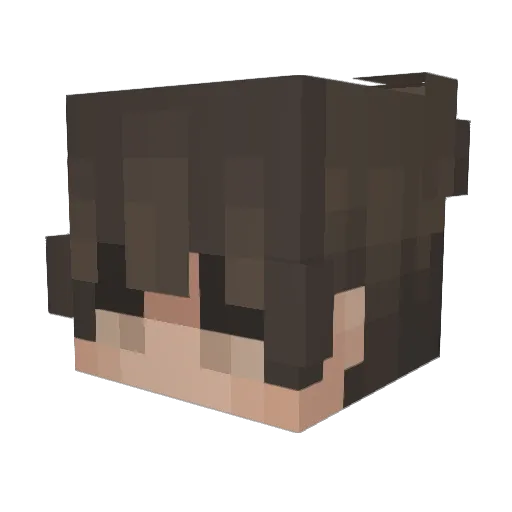 agasit Minecraft avatar head, 3D render