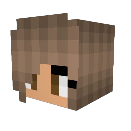 agatona Minecraft avatar head, 3D render