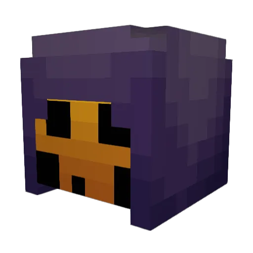 agatopiks Minecraft avatar head, 3D render