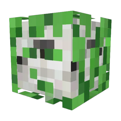 agbrzoza Minecraft avatar head, 3D render