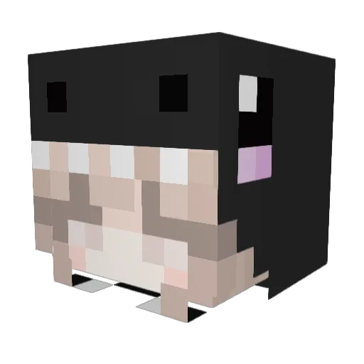 agent_katsu Minecraft avatar head, 3D render