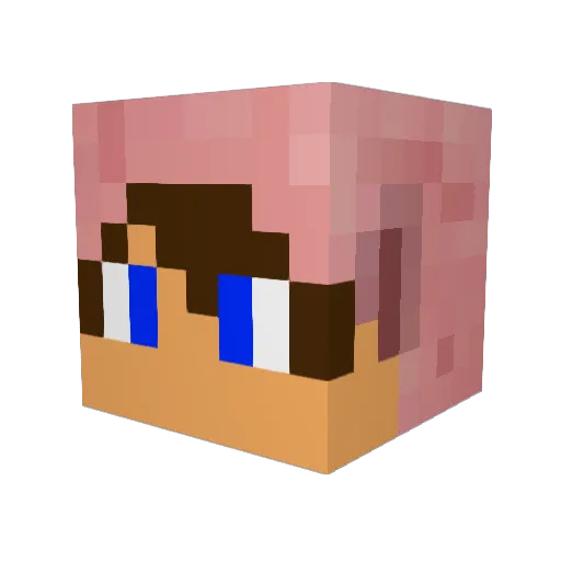agent_piggy007 Minecraft avatar head, 3D render