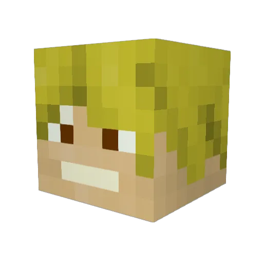 agentdid127 Minecraft avatar head, 3D render