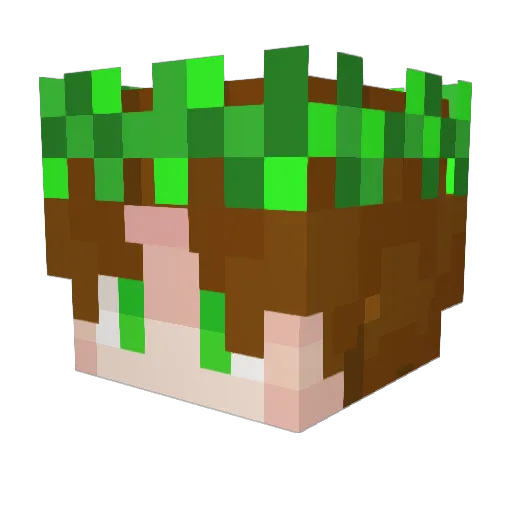 agente_95 Minecraft avatar head, 3D render