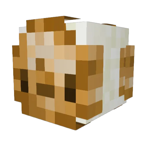 agentofbagel Minecraft avatar head, 3D render