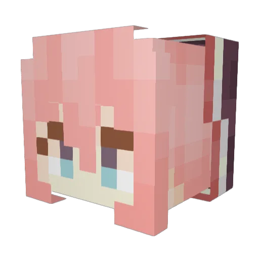 agenttylo Minecraft avatar head, 3D render