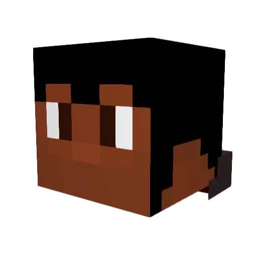 agentx115 Minecraft avatar head, 3D render
