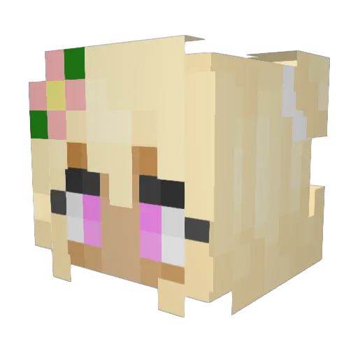 agentx20 Minecraft avatar head, 3D render