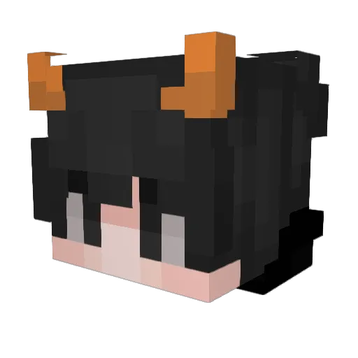 agerjeliding Minecraft avatar head, 3D render