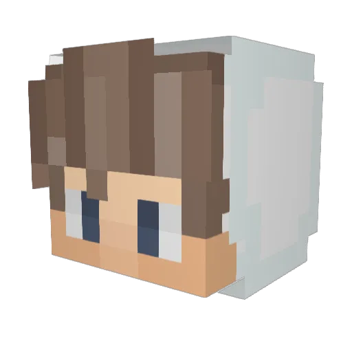 agge_official Minecraft avatar head, 3D render