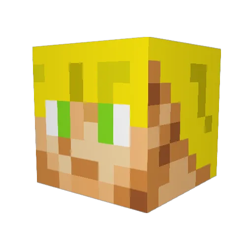 aggron51 Minecraft avatar head, 3D render