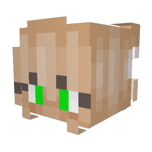 aghy1122 Minecraft avatar head, 3D render