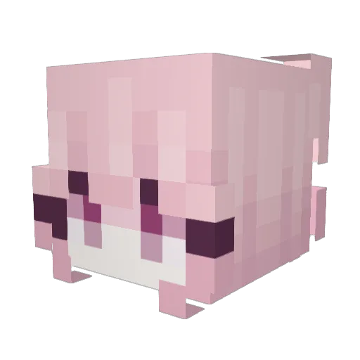 agileStevi16 Minecraft avatar head, 3D render