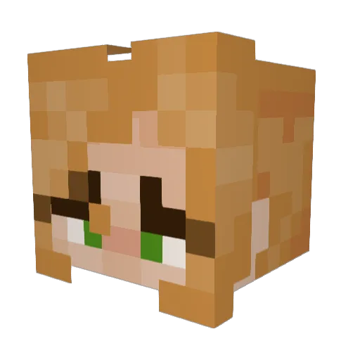 agirlcalledbill Minecraft avatar head, 3D render
