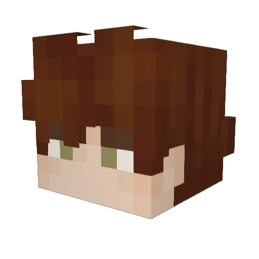 agishatake Minecraft avatar head, 3D render