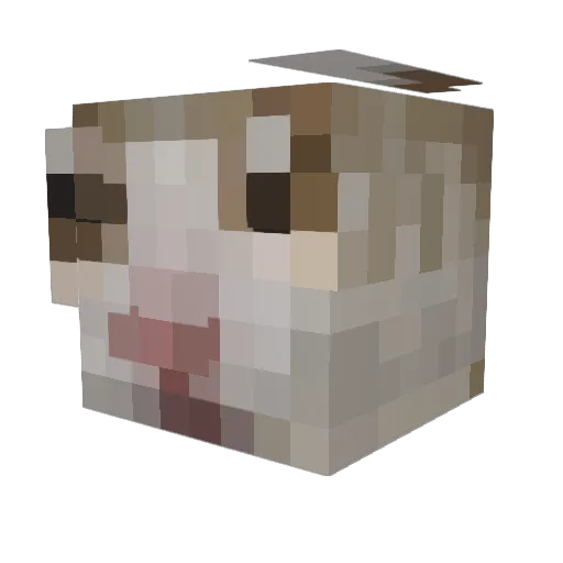 aglio_ Minecraft avatar head, 3D render