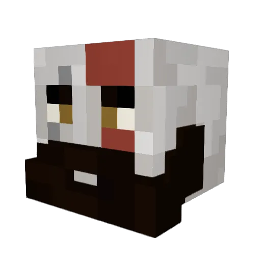 agmwowrocks2424 Minecraft avatar head, 3D render