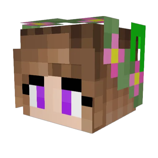agnes20 Minecraft avatar head, 3D render