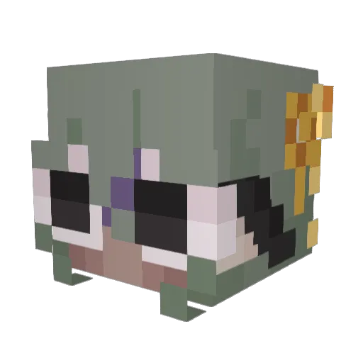 agno_sco Minecraft avatar head, 3D render
