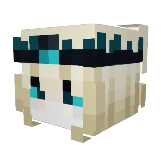 agonia1337 Minecraft avatar head, 3D render