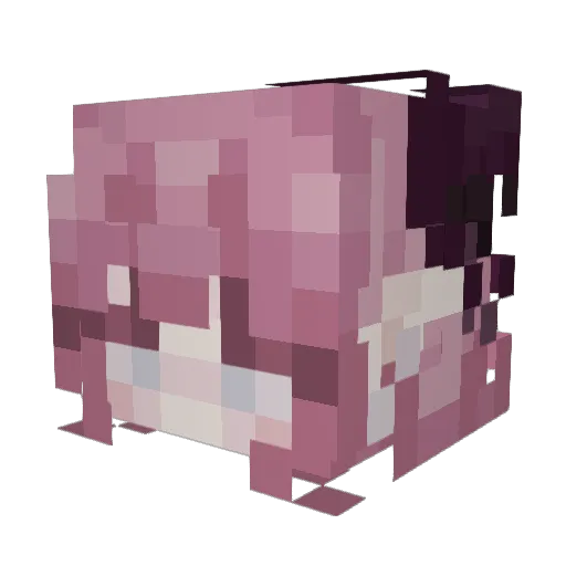 agoobagoobagoo Minecraft avatar head, 3D render
