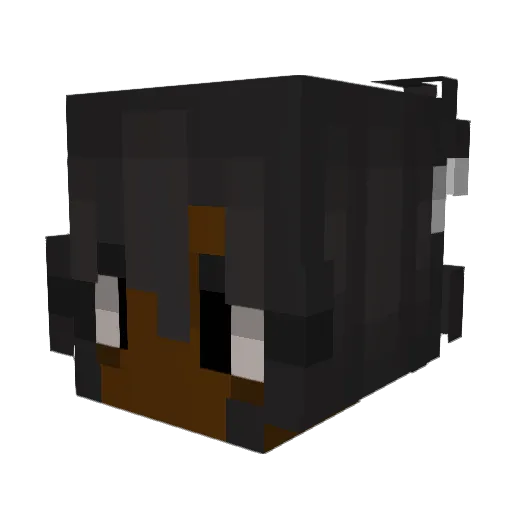 agorafia Minecraft avatar head, 3D render