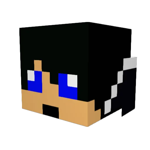 agrecor Minecraft avatar head, 3D render
