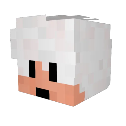agressivoo Minecraft avatar head, 3D render