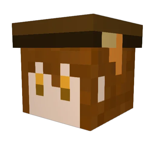 agu_71 Minecraft avatar head, 3D render