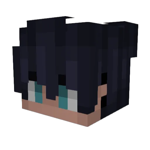 agus1704 Minecraft avatar head, 3D render
