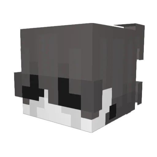 agusF5 Minecraft avatar head, 3D render
