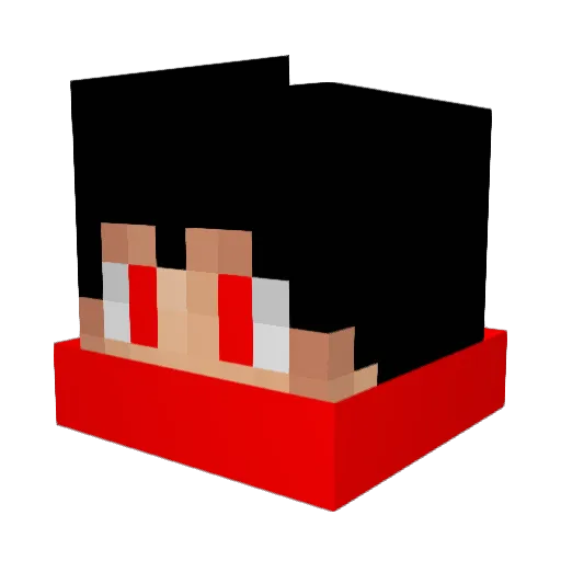 agustin_ Minecraft avatar head, 3D render