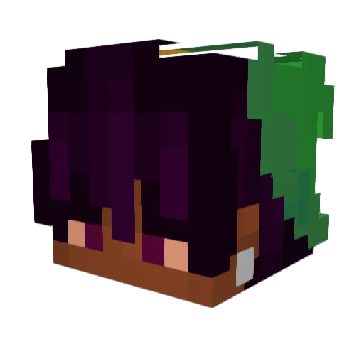 aguygoinginsane Minecraft avatar head, 3D render