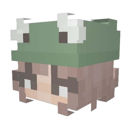 ahamelie Minecraft avatar head, 3D render