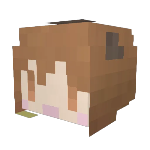 ahan1234 Minecraft avatar head, 3D render