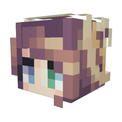ahbepis Minecraft avatar head, 3D render