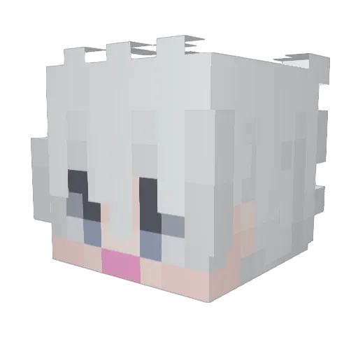 ahegopig Minecraft avatar head, 3D render