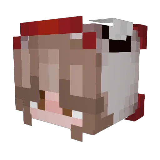 ahh_bb Minecraft avatar head, 3D render