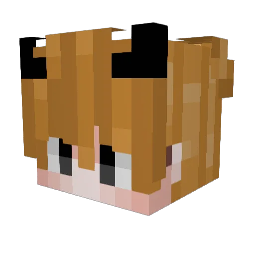 ahhhnewt Minecraft avatar head, 3D render