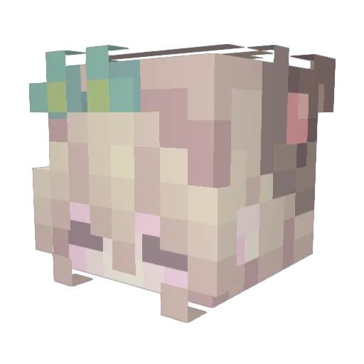 ahhriin Minecraft avatar head, 3D render