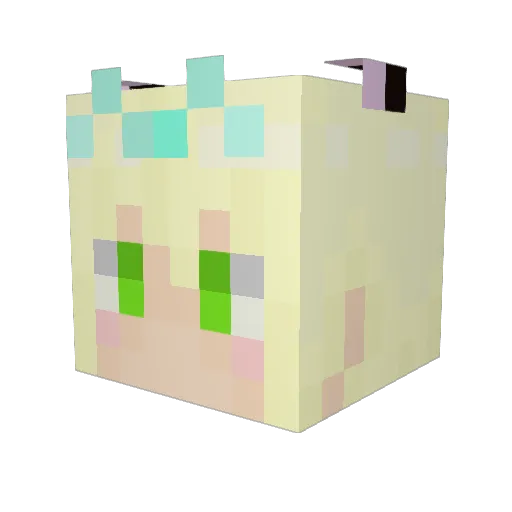 ahirukko Minecraft avatar head, 3D render
