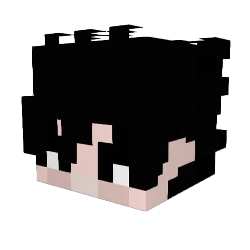 ahqel Minecraft avatar head, 3D render