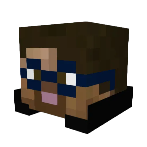 ahujafamily Minecraft avatar head, 3D render