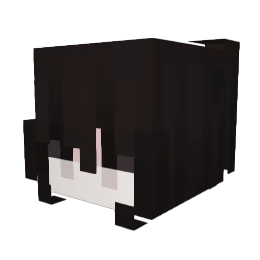 ahuna22 Minecraft avatar head, 3D render