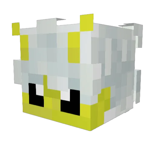 ahycon Minecraft avatar head, 3D render