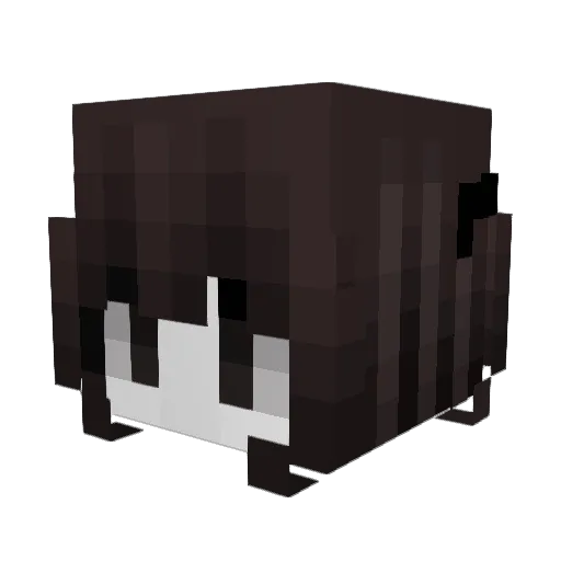 ahysa Minecraft avatar head, 3D render